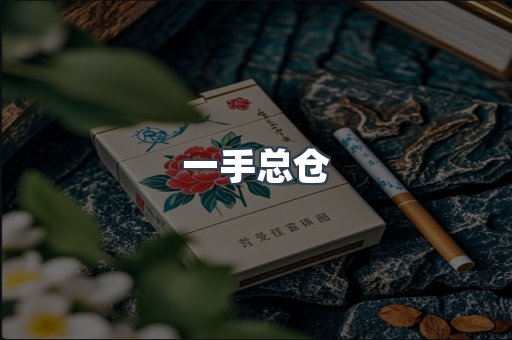 一手总仓